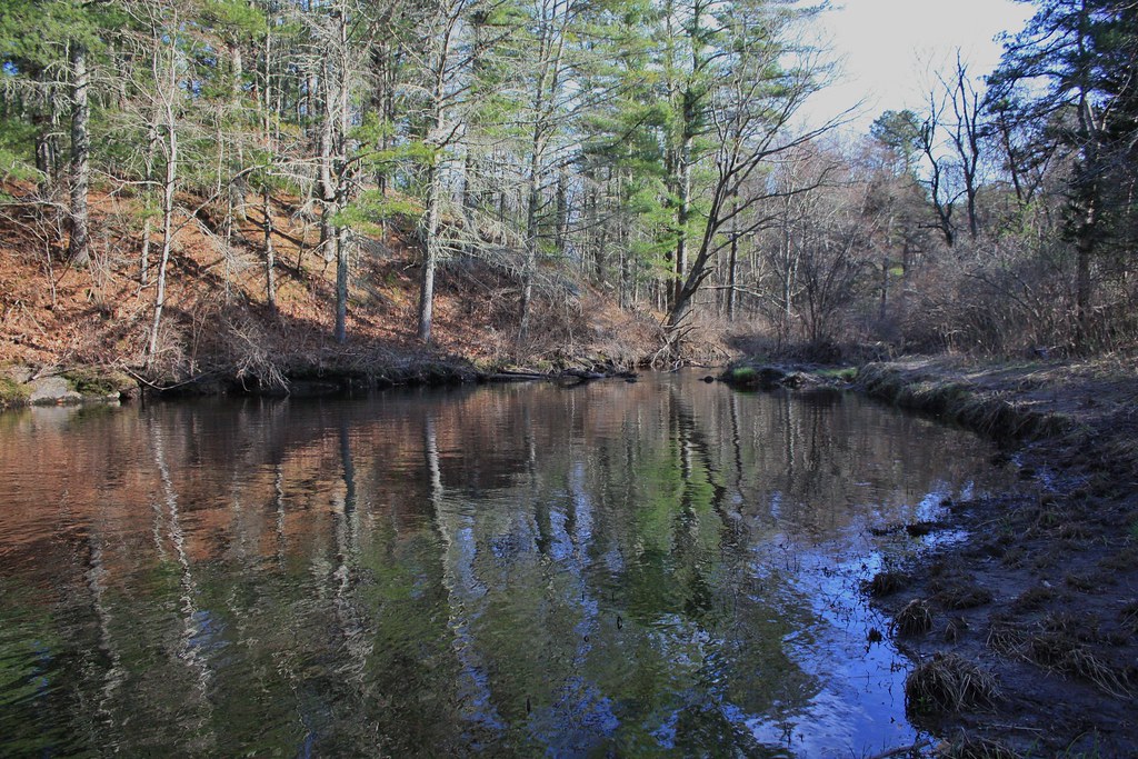 Carbuncle Pond and Moosup River Trail jennifer cummiskey Flickr