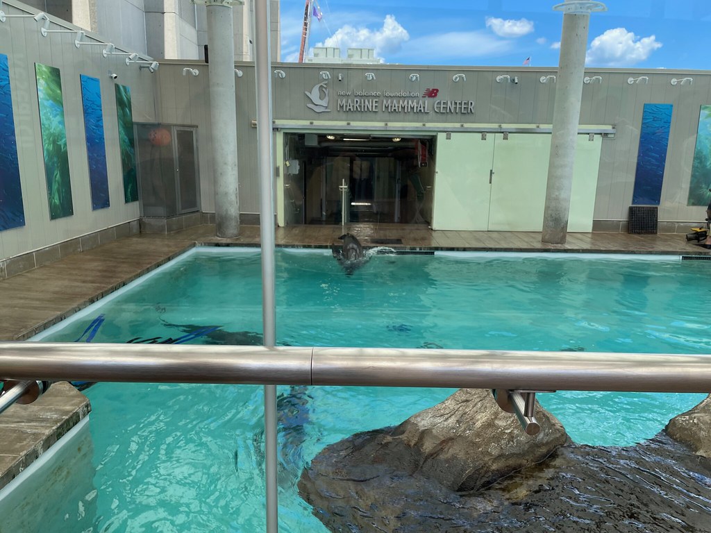 IMG_0656 New England Aquarium The New England Aquarium is … Flickr