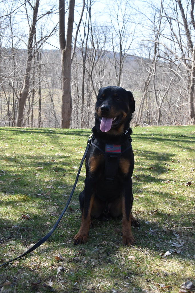 DSC_0683 Bassett Healthcare Network Flickr