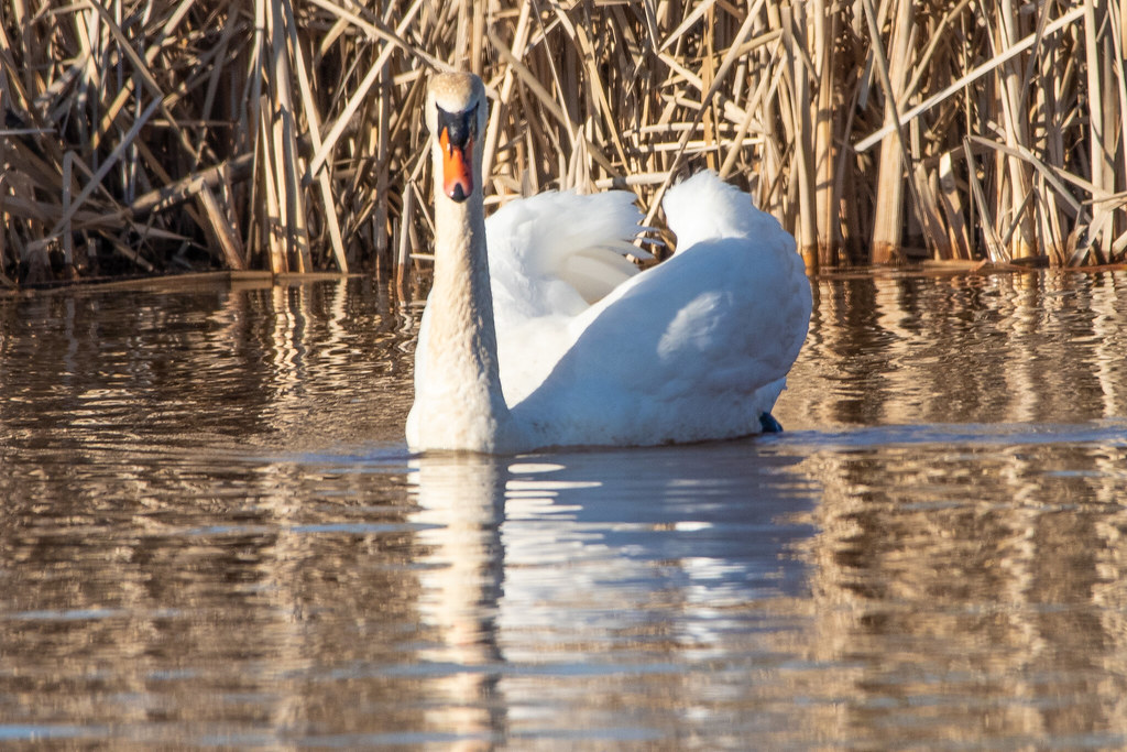 IMG_3222 Lynne Pollard Flickr