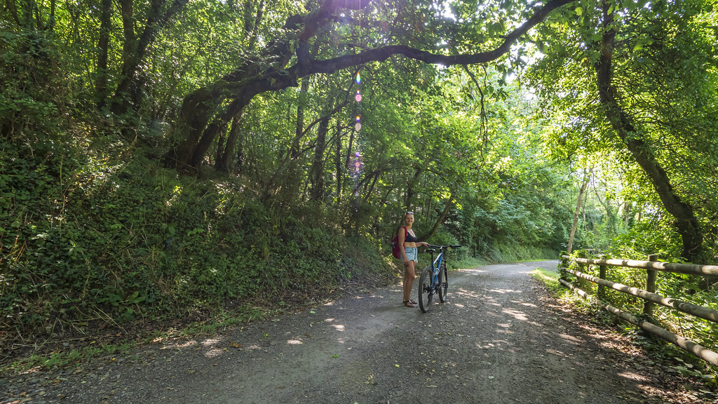 Cameltrail (Padstow Bodmin) a beautiful cycle path from … Flickr