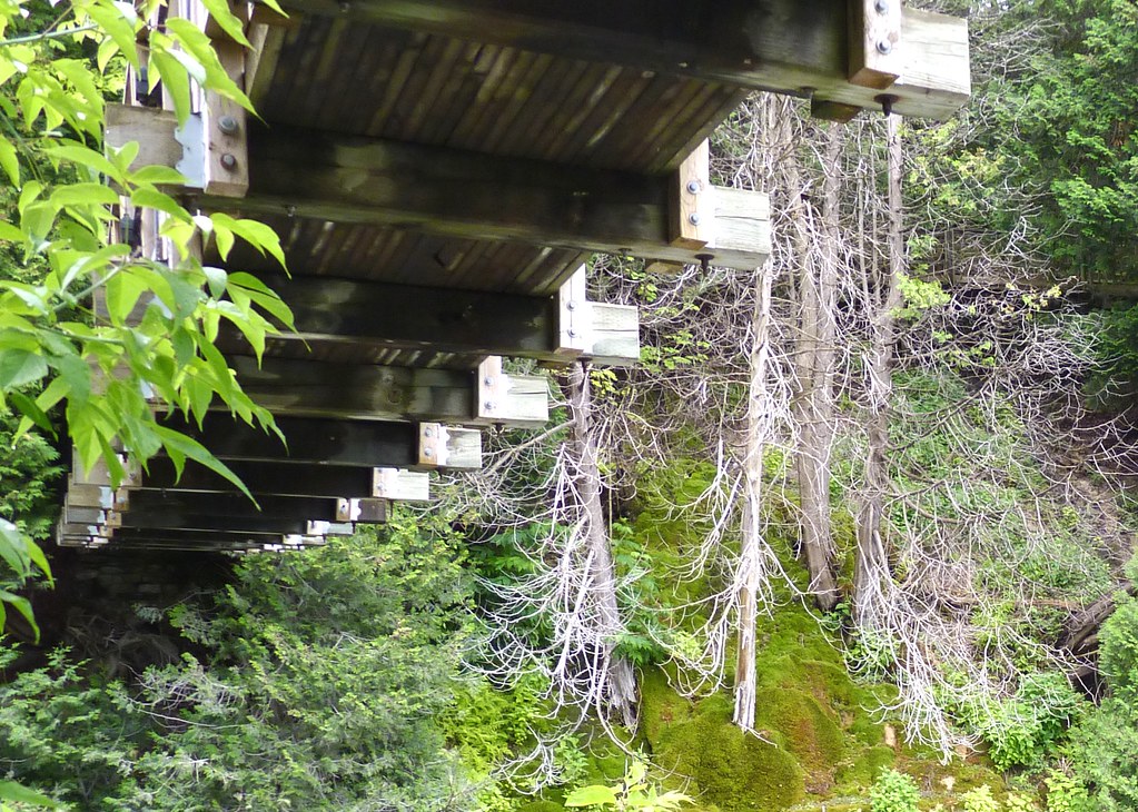 Underside of Suspension Bridge at Belfountain Falls Flickr