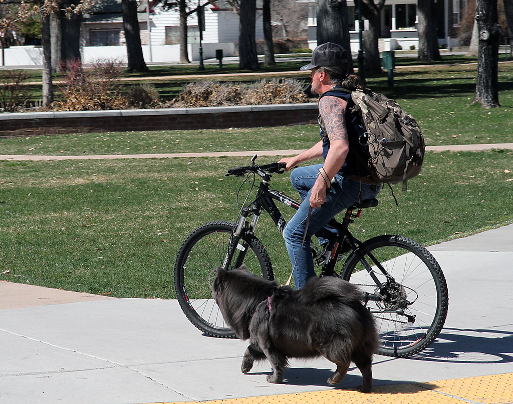 Dog Walk Provo, Utah arbyreed Flickr
