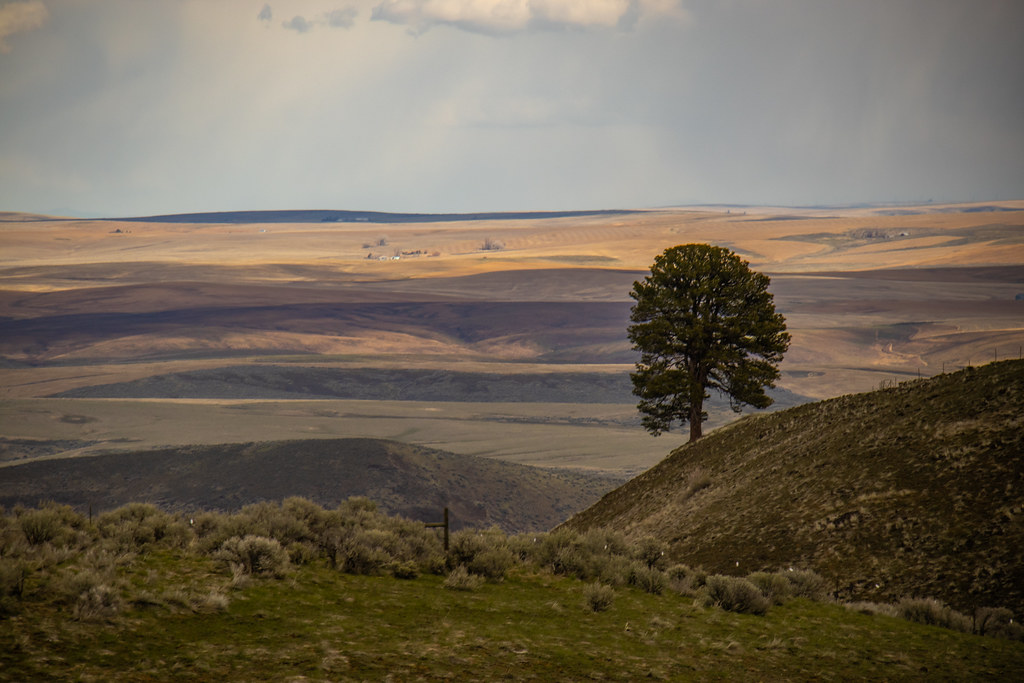 IMG_1296 Douglas Creek WA Andy Nygaard Flickr