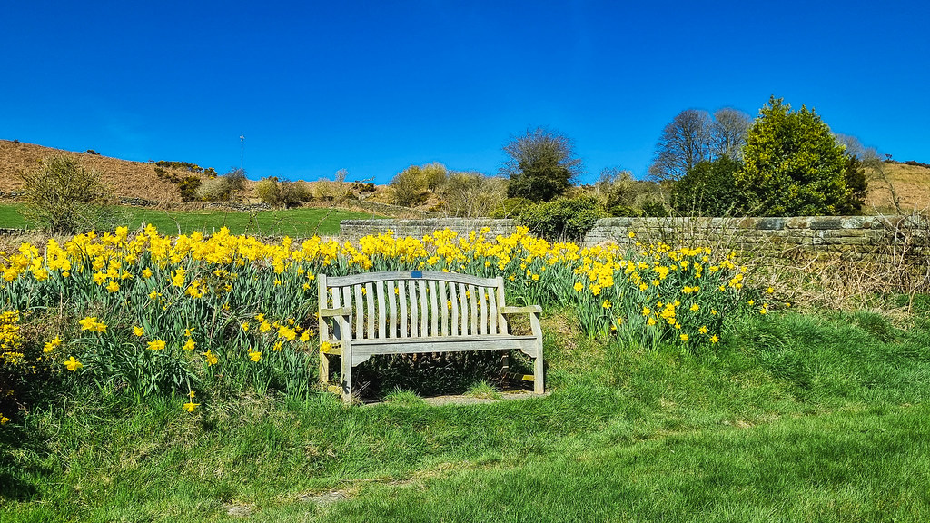 Glaisdale Bench This is a wonderful place to sit and enj… Flickr