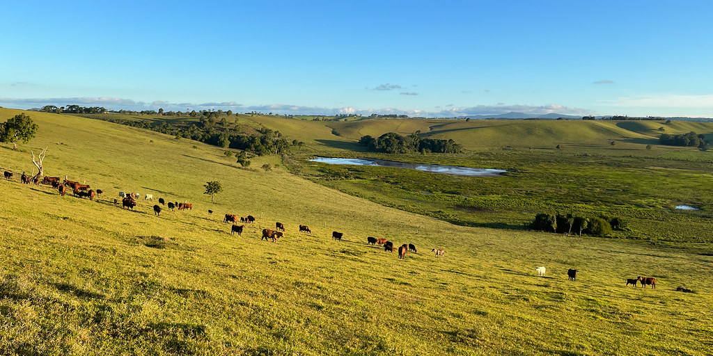 Bromfield Swamp 2022101602a Bromfield Swamp is a shallo… Flickr