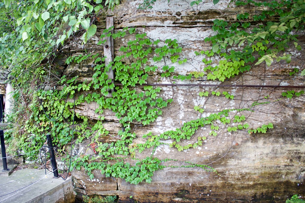 IMG_2911 Bob Oldenburg Flickr