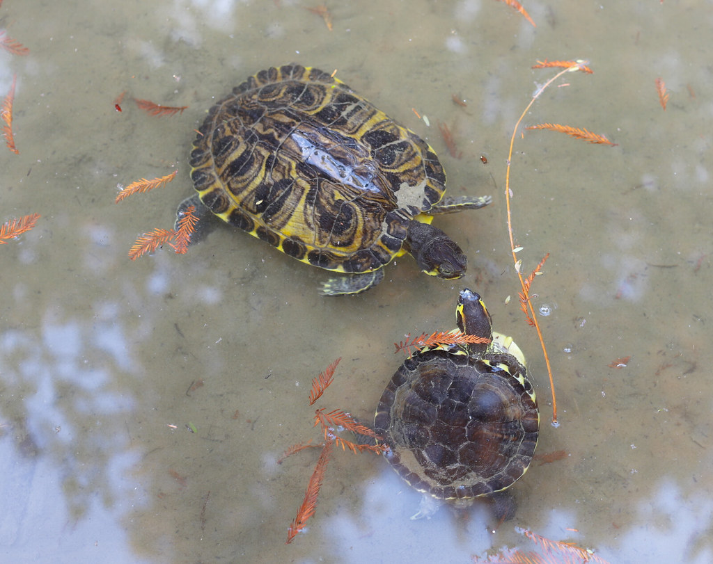 PSX_20230125_121345 Blanca Carmona Flickr