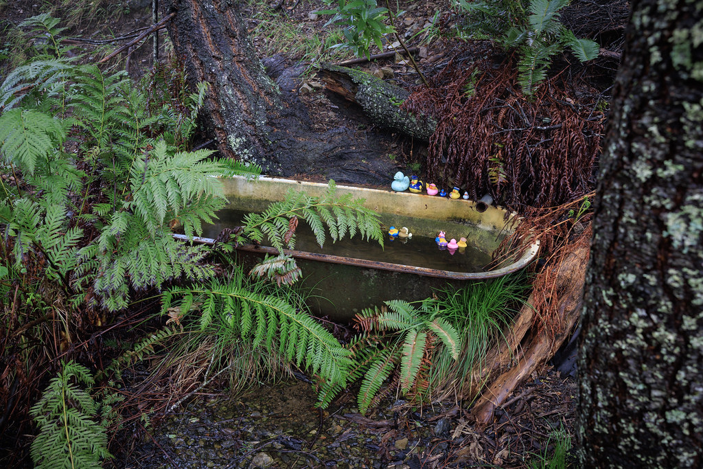 Mountain Bathtub 1 Somehow this old tub in the woods on … Flickr