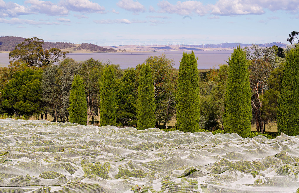Lake from Lerida Going back to Sydney from Canberra… Flickr