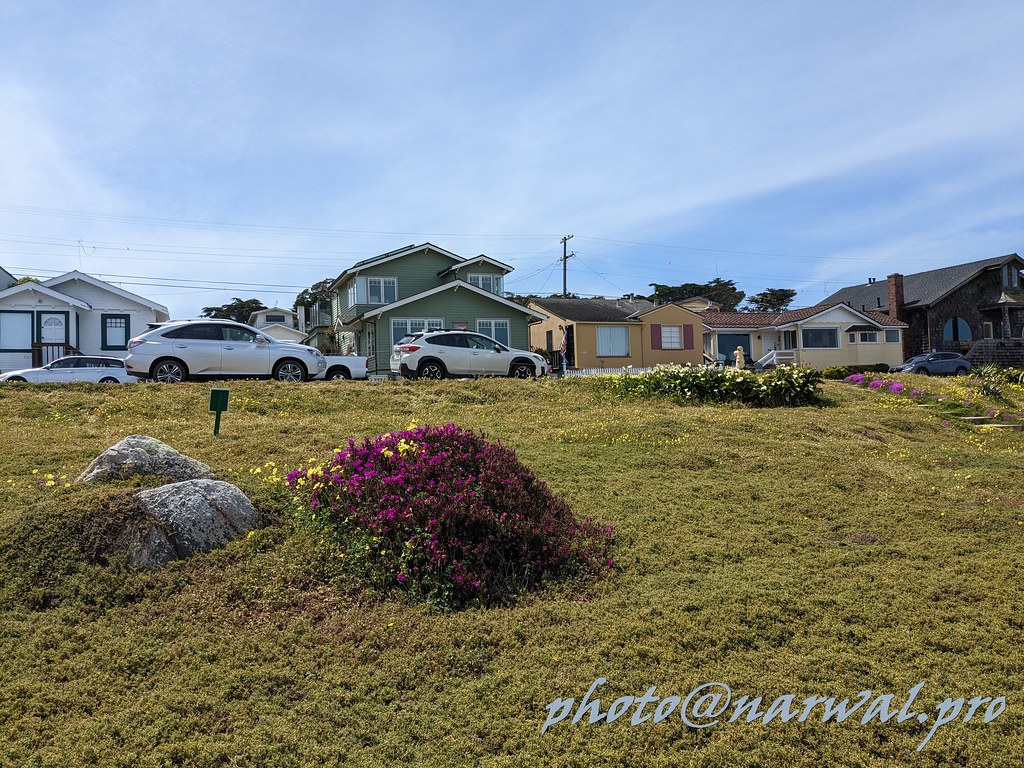 PXL_20230405_201424868 Perkins Park Pacific Grove, Califor… Flickr