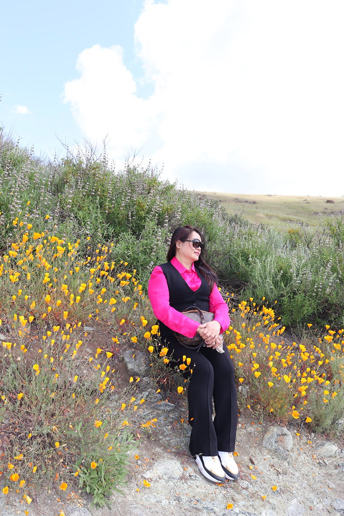 IMG_2665 Diane PHAM Flickr