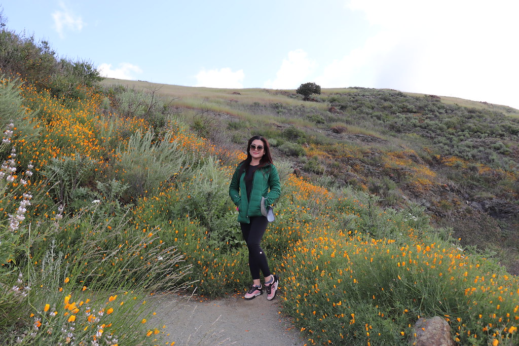 IMG_2623 Diane PHAM Flickr