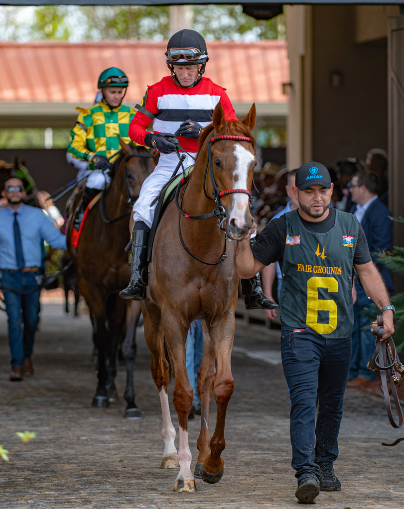 Horse Racing 2023 Louisiana Derby Stakes Day MAR 25 Flickr