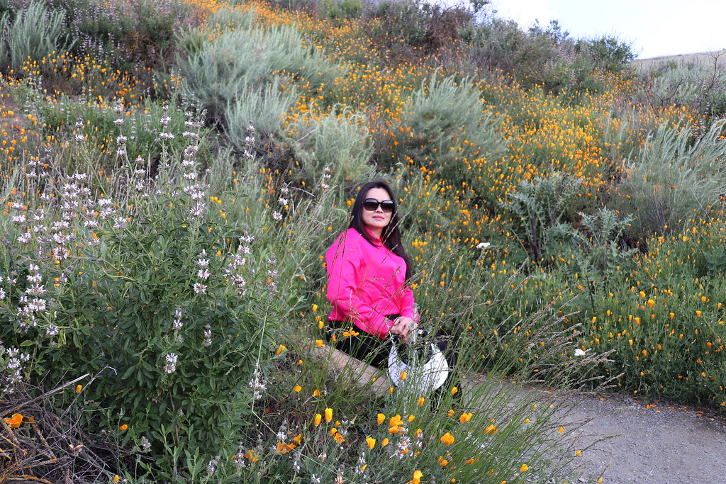 IMG_2618 Diane PHAM Flickr