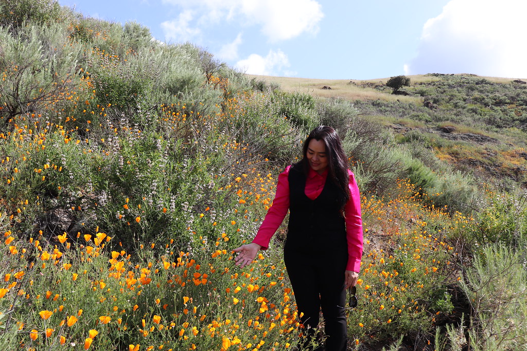 IMG_2631 Diane PHAM Flickr