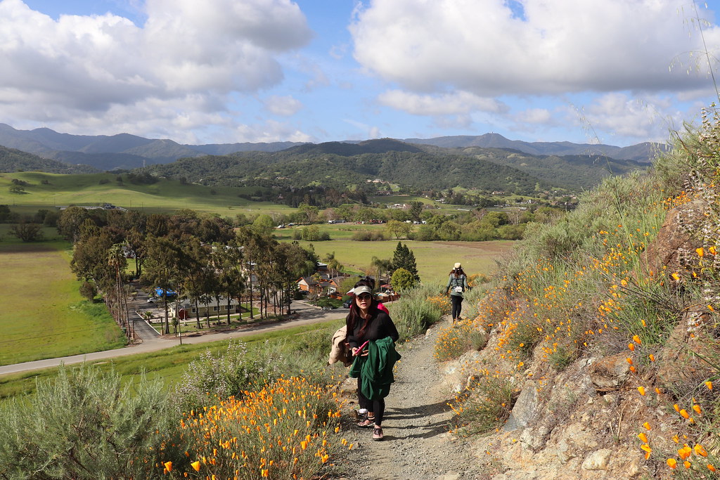 IMG_2645 Diane PHAM Flickr