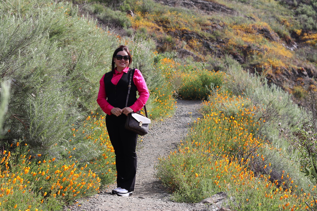 IMG_2606 Diane PHAM Flickr