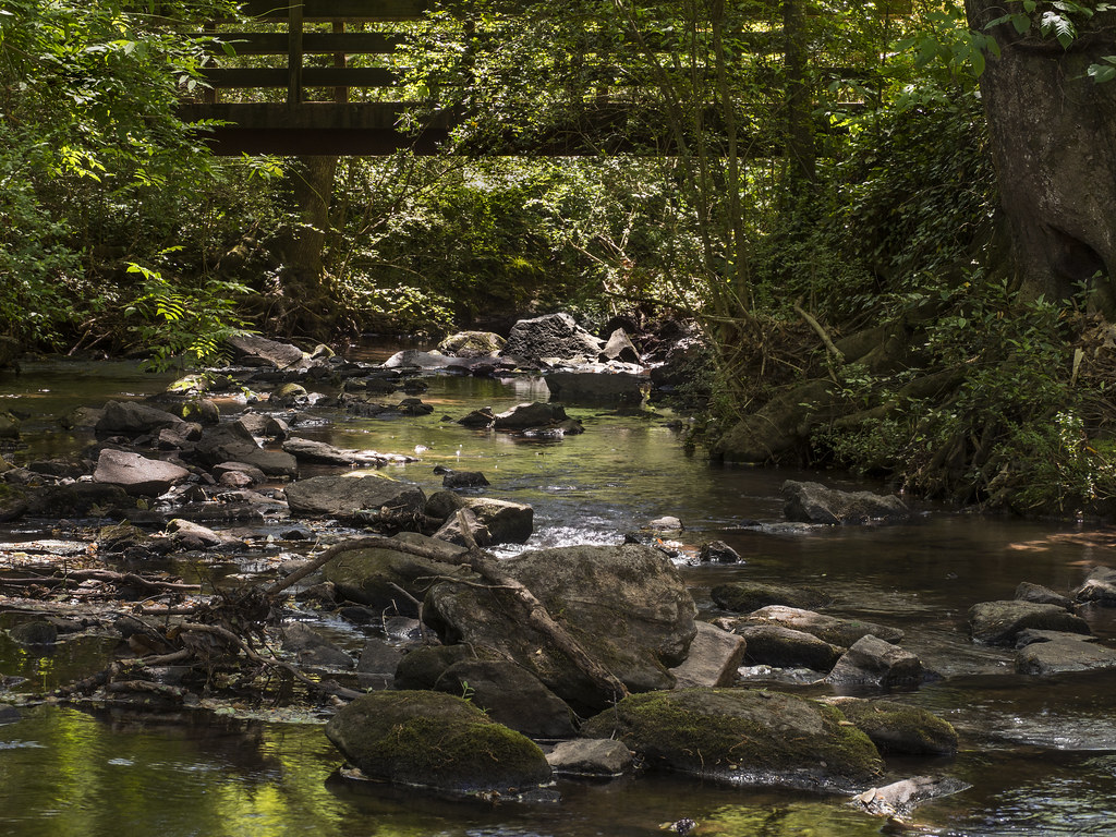 Shoal Creek shoals Small rapids on Shoal Creek, in... Dear… Flickr