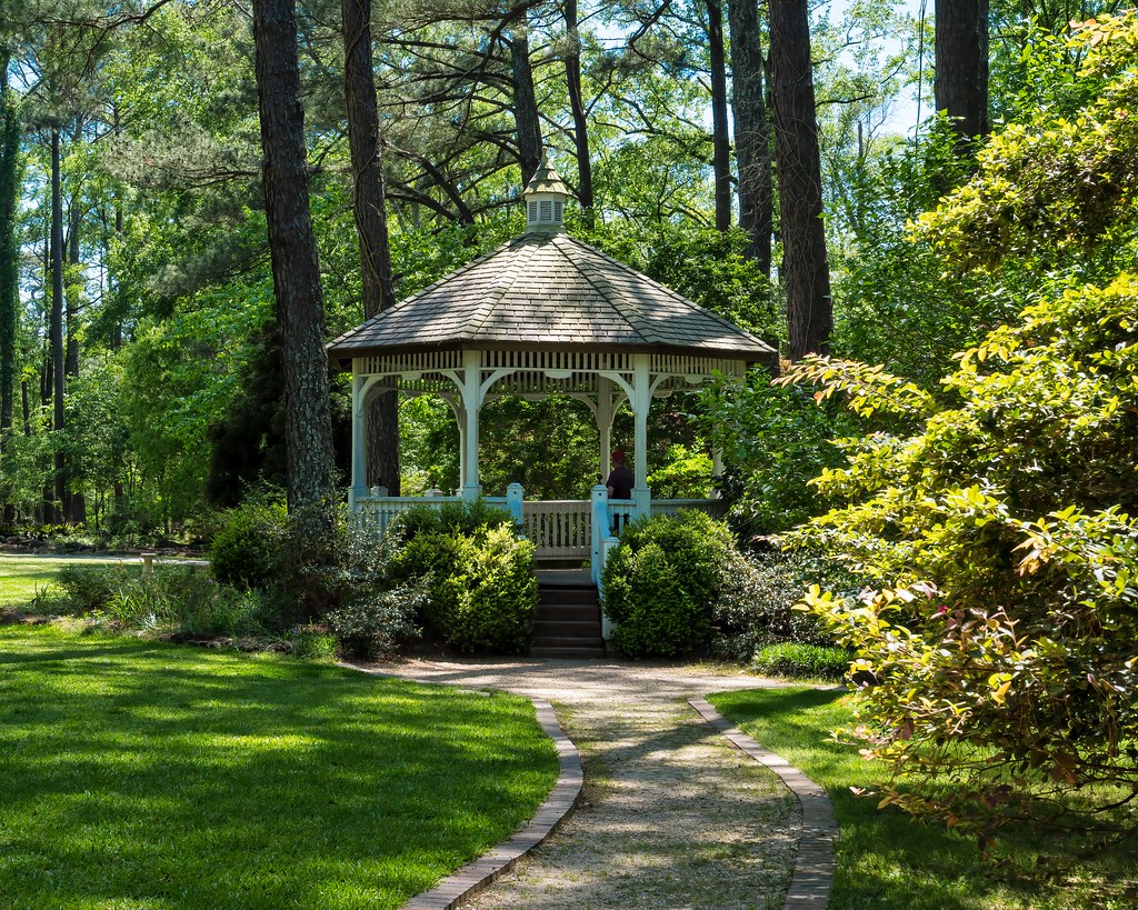 Tranquility Cape Fear Botanical Garden Bill Jackson Flickr