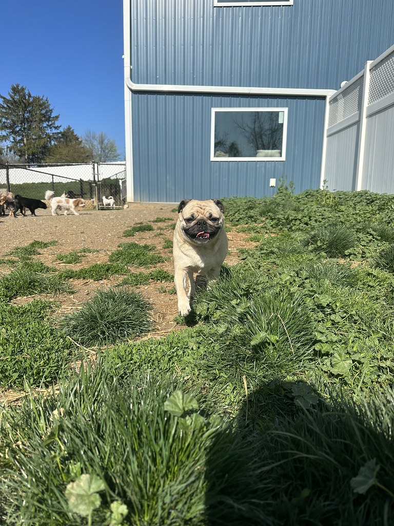 Untitled Greenlin Lambs Gap Flickr