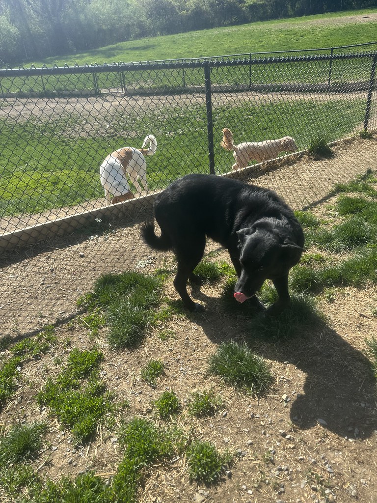 Untitled Greenlin Lambs Gap Flickr