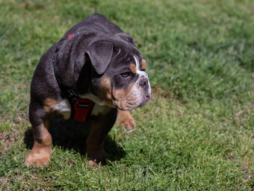 IMG_5397 Matthew Grissom Flickr