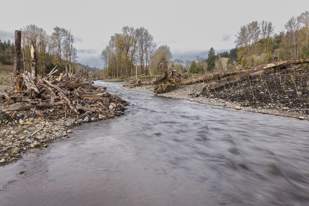 Riverbend restoration project The successful Riverbend pro… Flickr