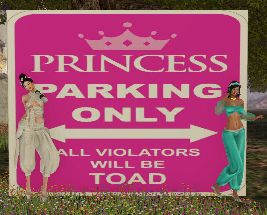 princess parking Rena Guisse Flickr