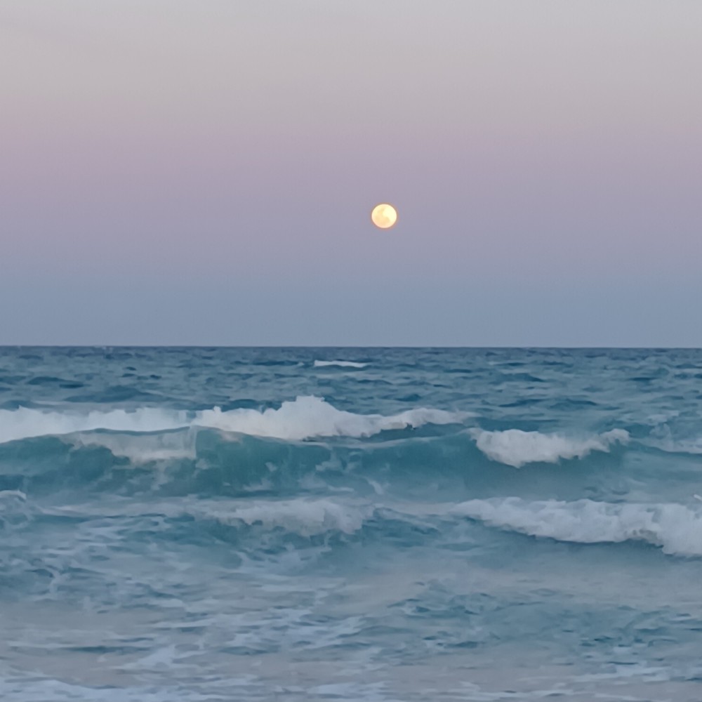 Full Moon April 2023 Vacation in Florida 2023 . Taken with… Flickr