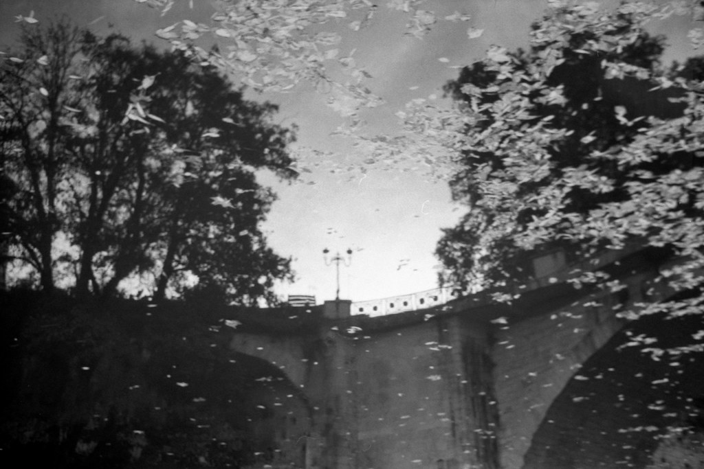 Hitawa Ilford FP4+ 200 iso Kodak Xtol 1+0 8mn 24°c Flickr