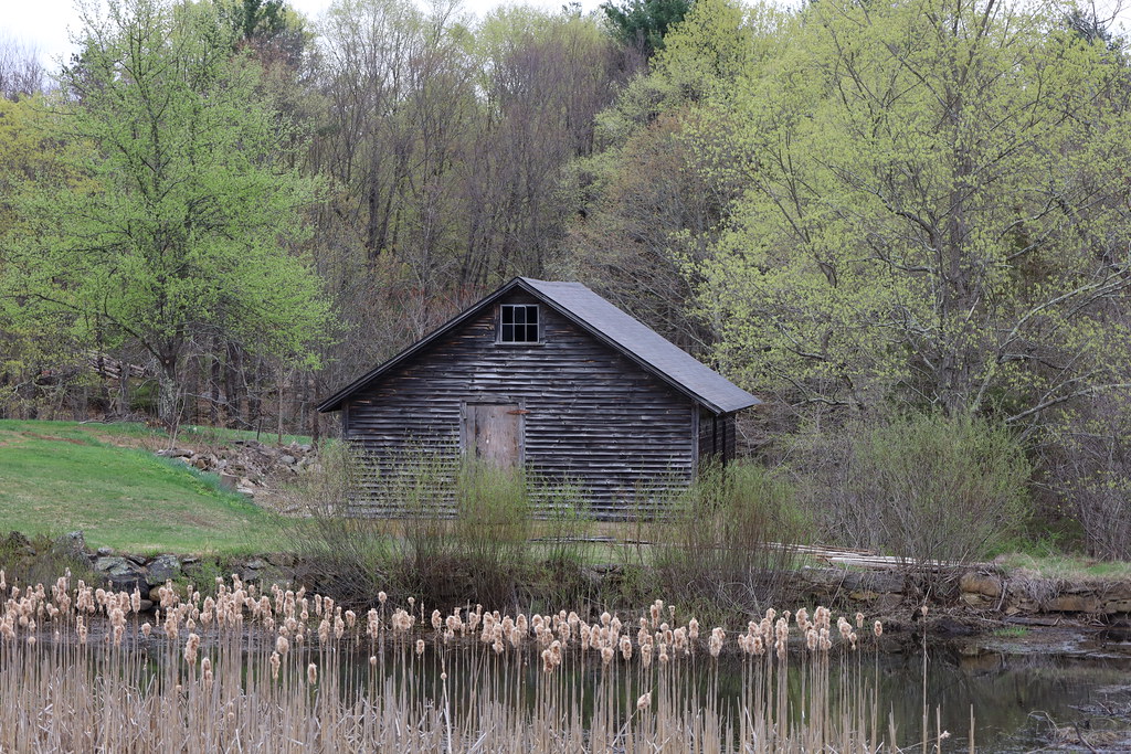 Farm Pond Near Westford, Connecticut John Hart Flickr