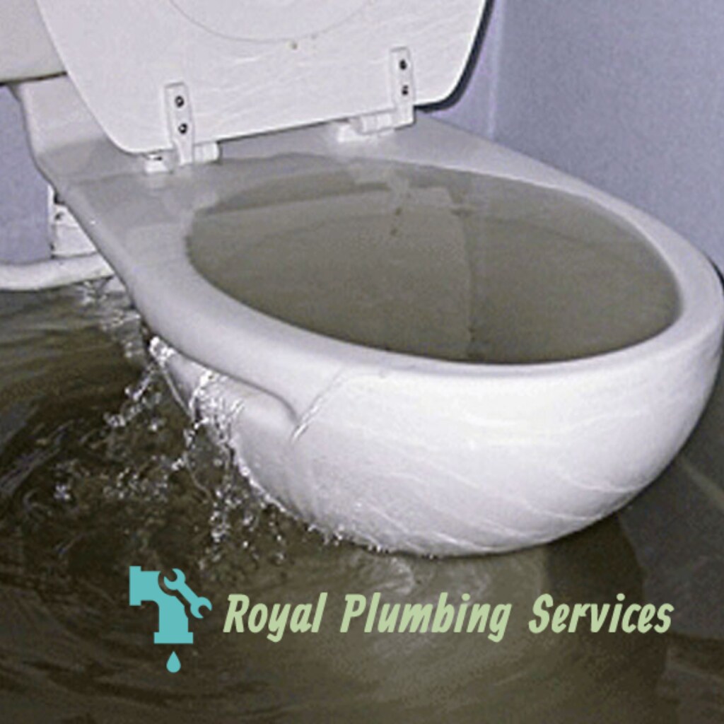 The Importance Of Regular Toilet Maintenance To Prevent Cl… Flickr