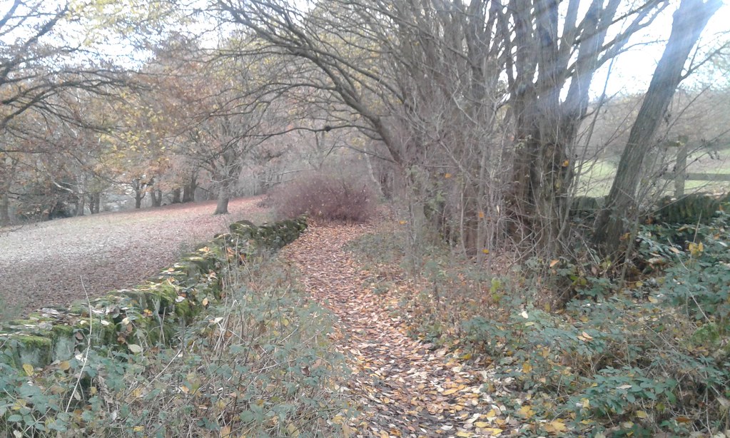 Whitecote Lane, Bramley, Leeds 6th December, 2022.l, 202… Flickr