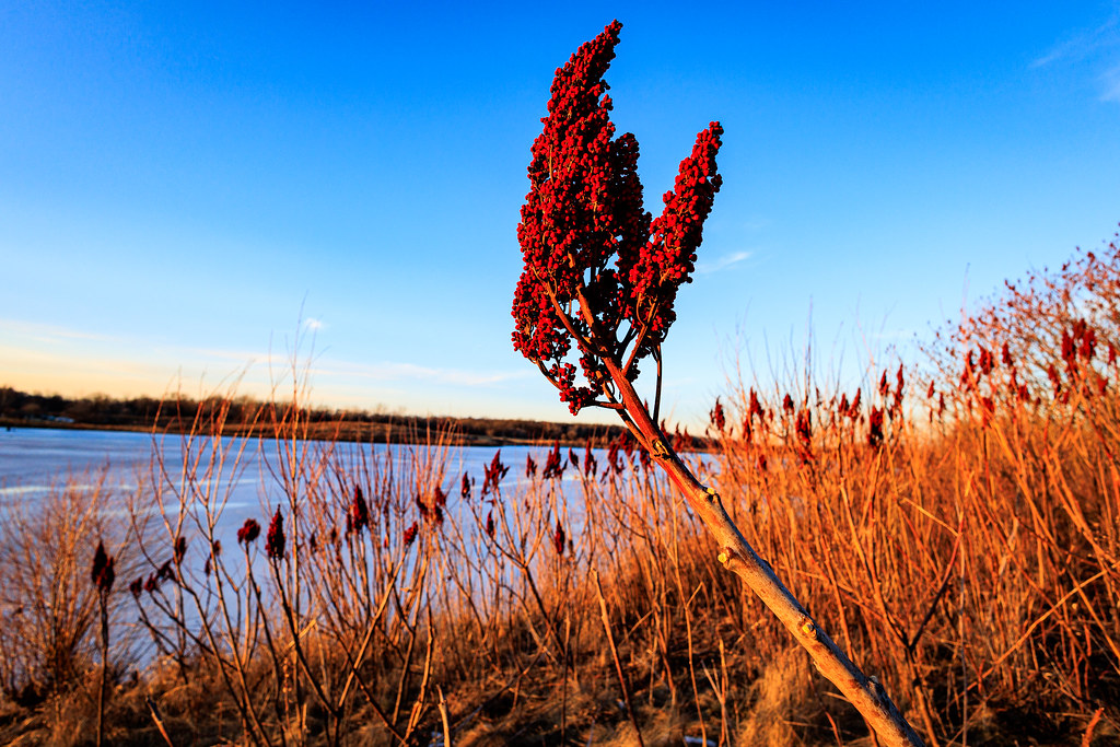 Sterling Lake at Sunset Sterling Lake Van Patten Woods at … Flickr