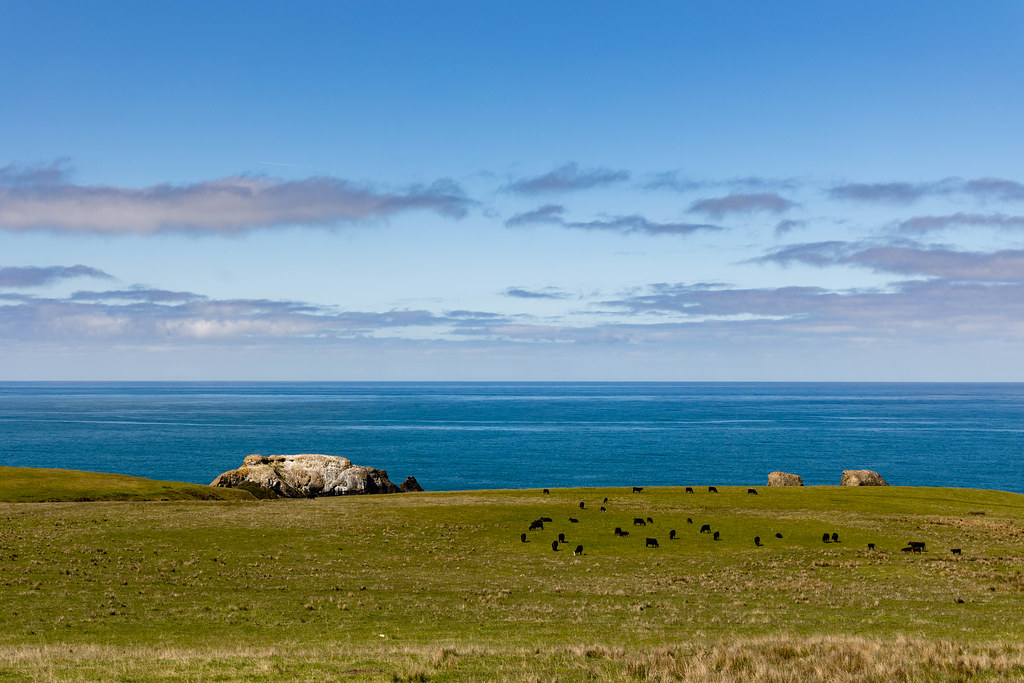 coast north of ft bragg bill hunnewell Flickr