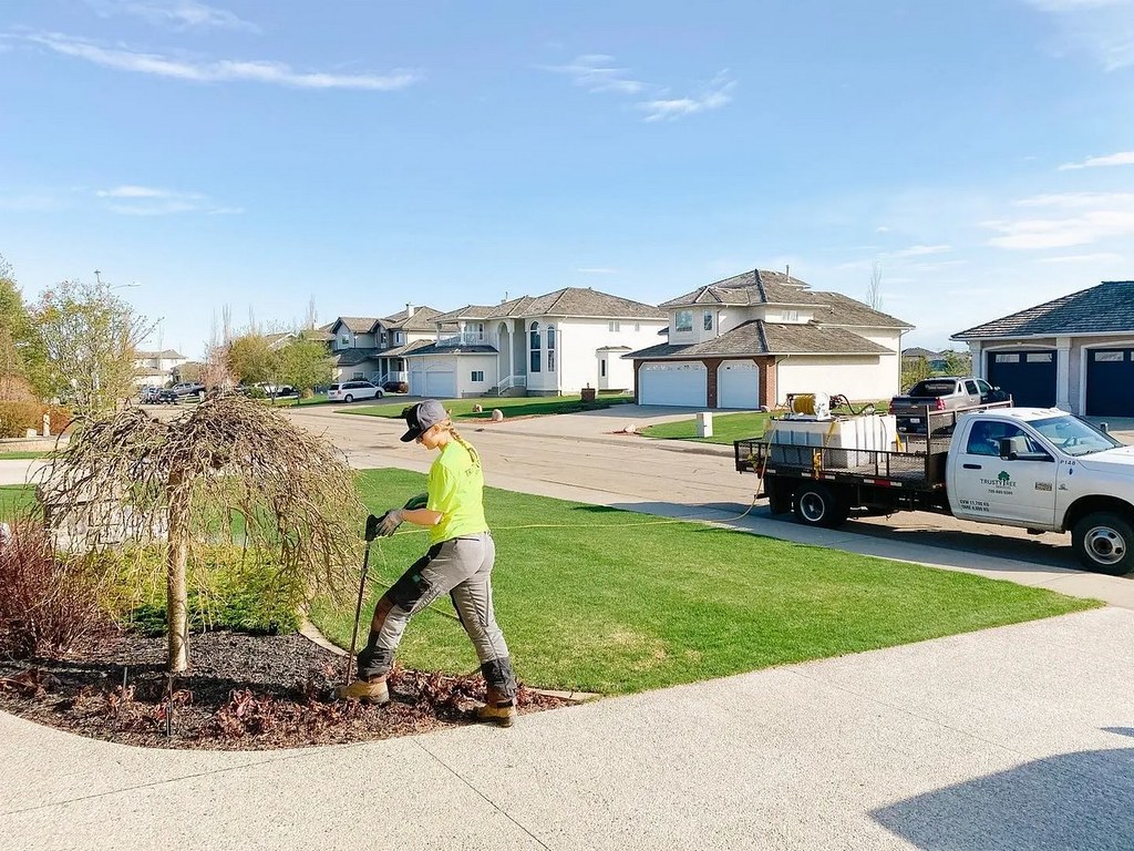 edmonton arborist edmonton tree pruning Trusty Tree Services Flickr