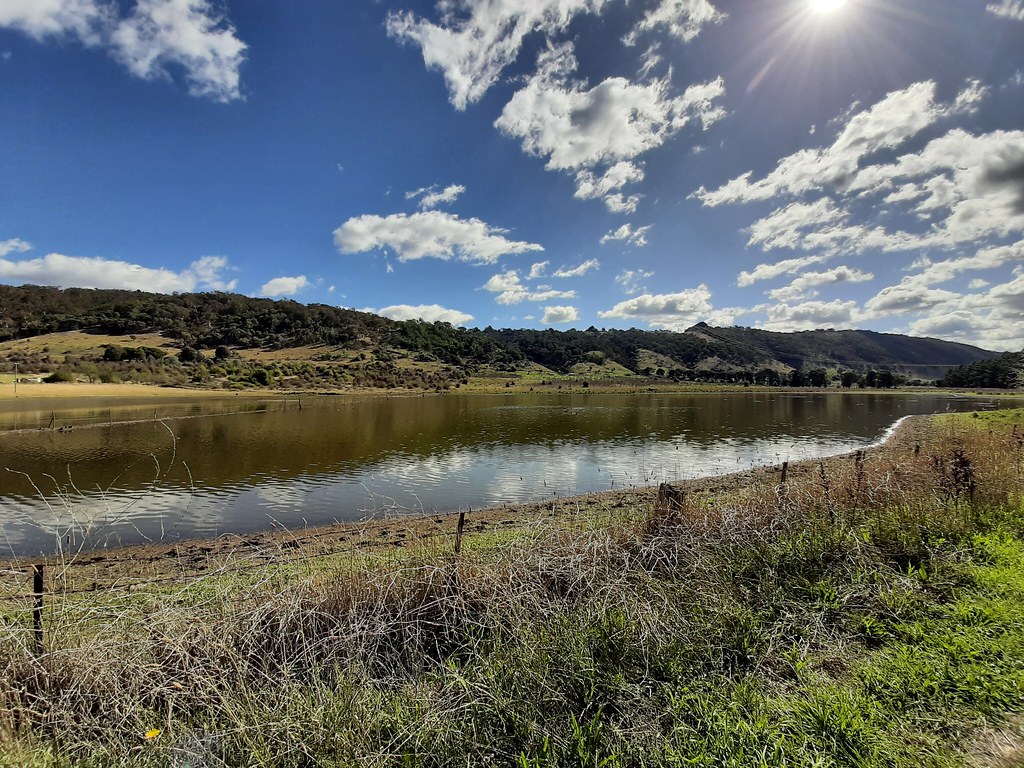 Lake Rd, NSW chowchilla Flickr