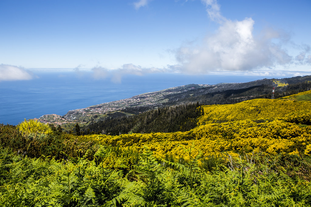 Madeira Island II Portugal Flower Island /bloemeneiland Nicole