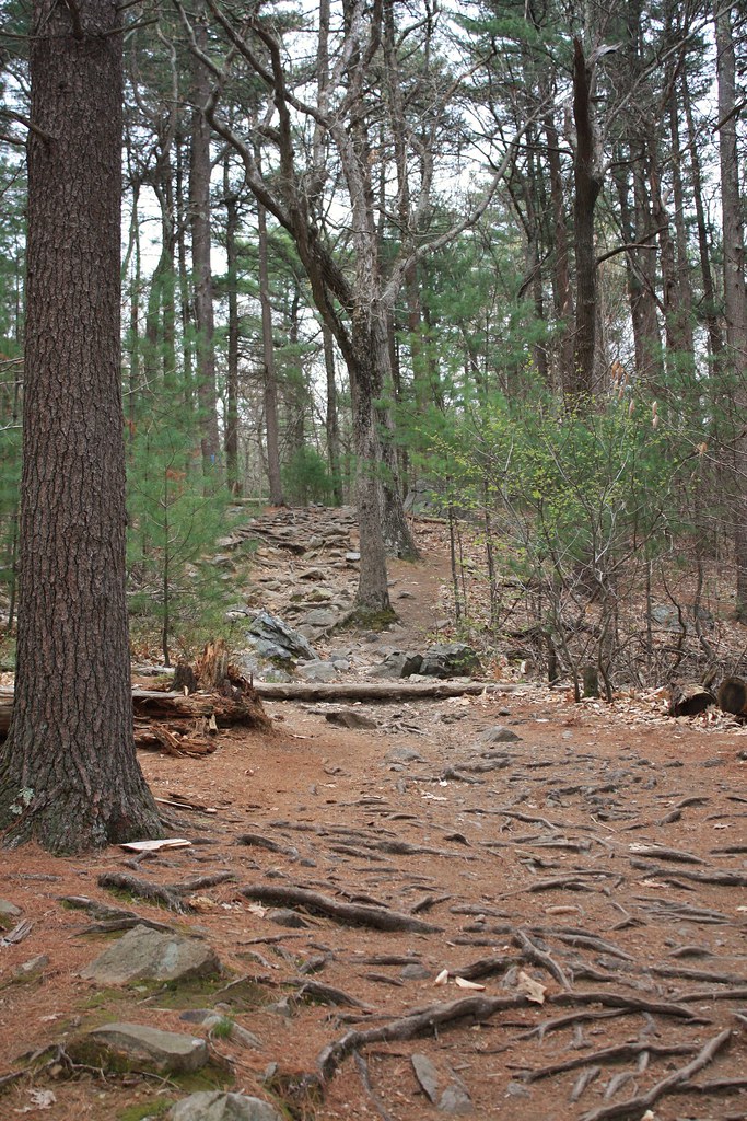 Houghton,Skyline,Coon Hollow,Chestnut Run,Jeffries Trails Flickr
