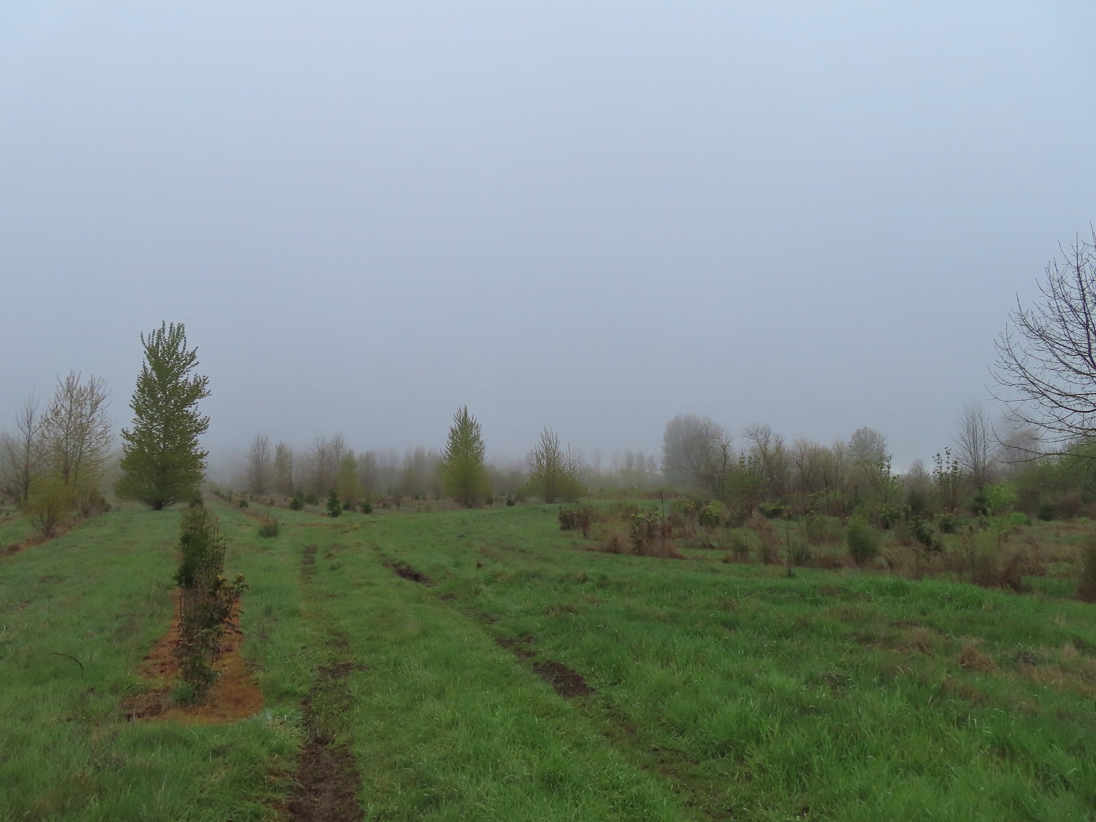 Monteith Park wanderingyuncks