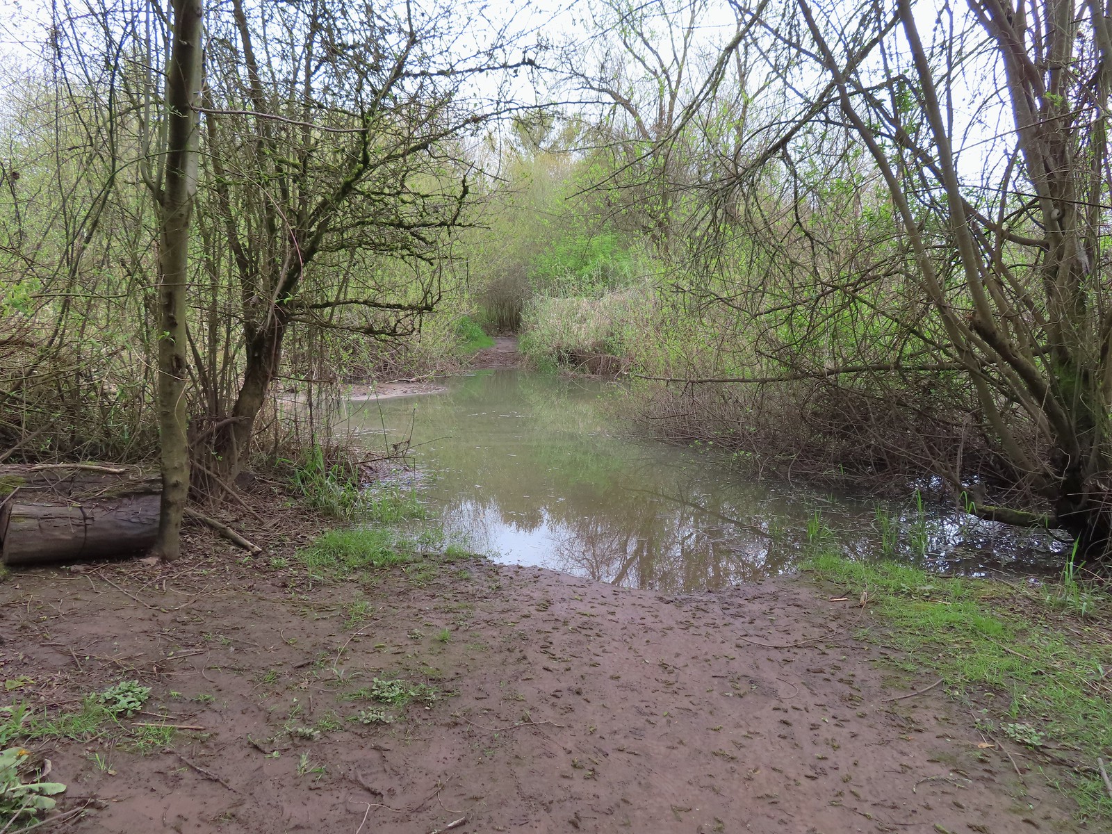 Monteith Park wanderingyuncks