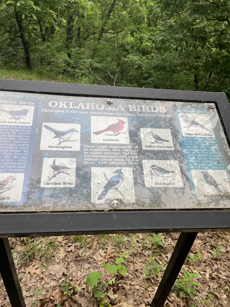 Heavner Runestone bird plaque Heavner, Oklahoma Talihina… Flickr