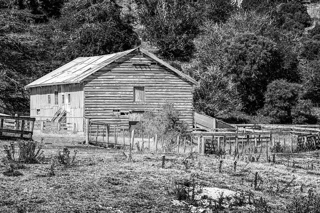 _DCA37989 David Ankeny Flickr