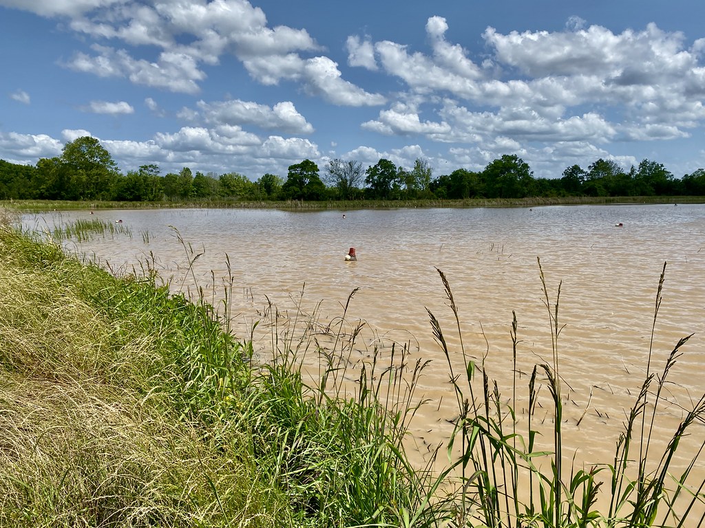 Land of Lakes Farm Habitat shot for eBird list Van Remsen Flickr