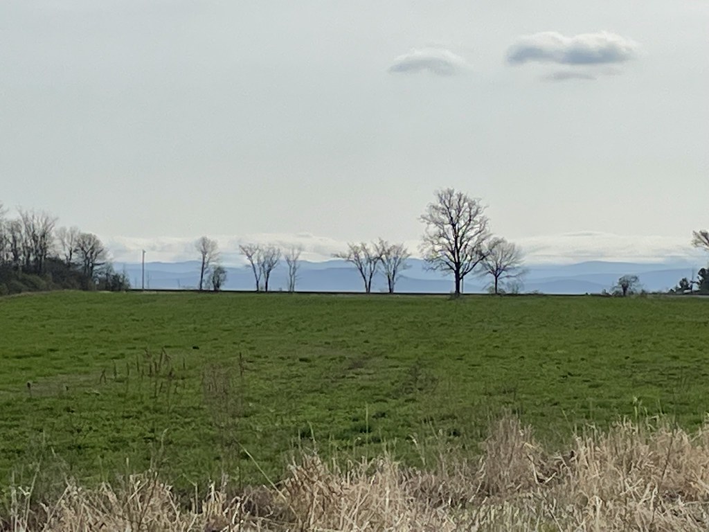 trees on the horizon Vergennes, VT Mike Greenwood Flickr