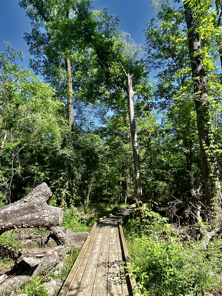 BREC Forest Community PRK Habitat shot for eBird list Flickr