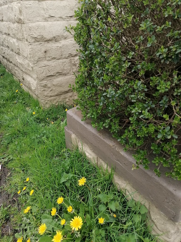 Burnley, 360 Accrington Road Kim Fallows Flickr