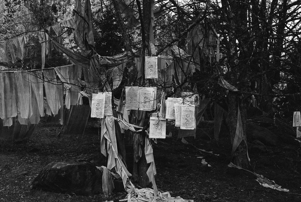 Tree Burial, Tibet, 2012 Flickr