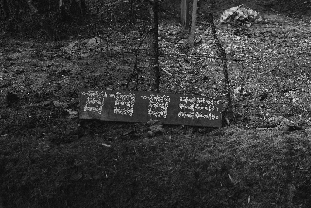 Tree Burial, Tibet, 2012 JL Cogburn Flickr